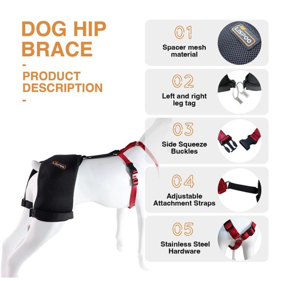 Labrador Dog Hip Brace