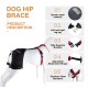 Labrador Dog Hip Brace