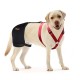 Labrador Dog Hip Brace
