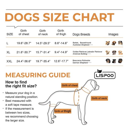 Labrador Dog Hip Brace