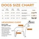 Labrador Dog Hip Brace