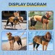 Dog Torn Acl Brace