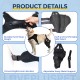 Dog Torn Acl Brace