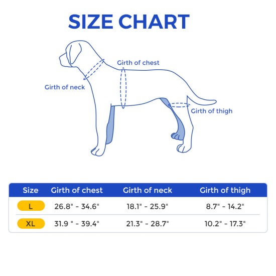 Labrador Dog Knee Brace for Acl Leg Tear
