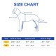 Labrador Dog Knee Brace for Acl Leg Tear