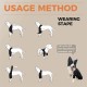 Border Collie Dog Elbow Brace