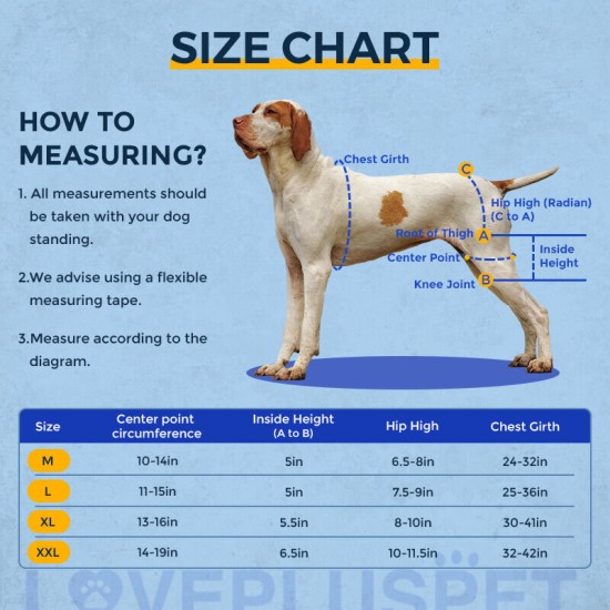 Dog Hip Support Brace for Dysplasia