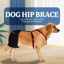 Golden Retriever Dog Hip Brace for Hip Dysplasia
