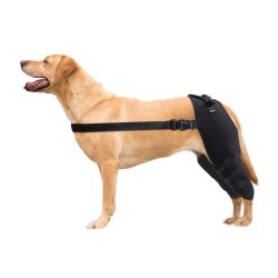 Dog Knee Support Brace